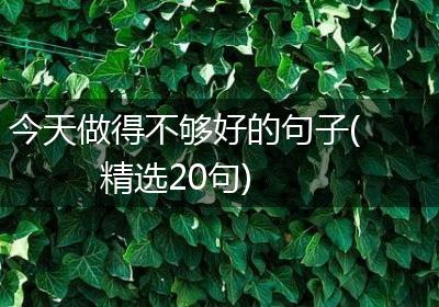 今天做得不够好的句子(精选20句)