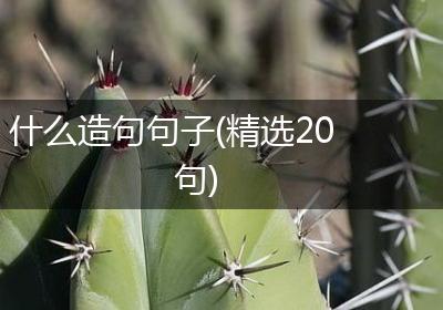 什么造句句子(精选20句)
