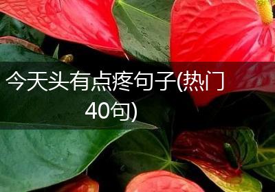 今天头有点疼句子(热门40句)