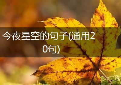 今夜星空的句子(通用20句)