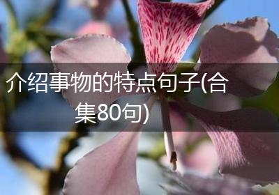 介绍事物的特点句子(合集80句)
