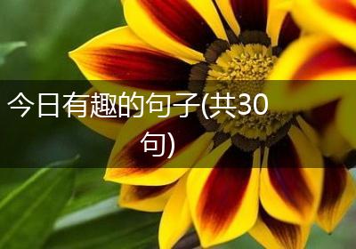 今日有趣的句子(共30句)