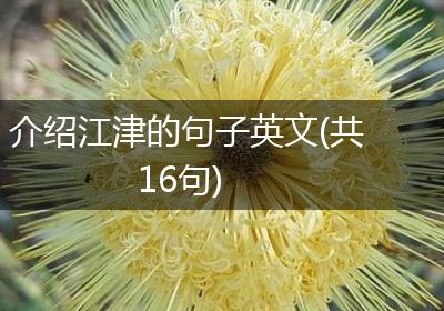 介绍江津的句子英文(共16句)