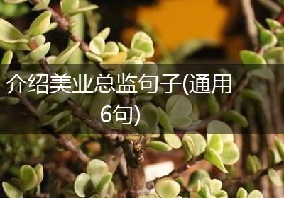 介绍美业总监句子(通用6句)