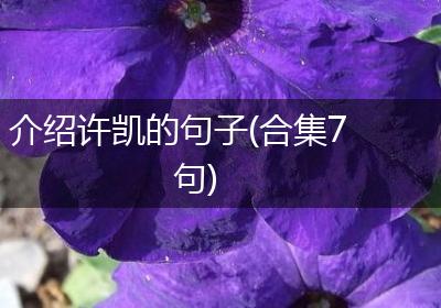 介绍许凯的句子(合集7句)