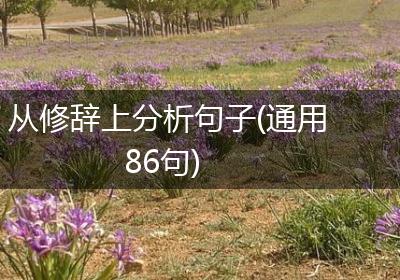 从修辞上分析句子(通用86句)