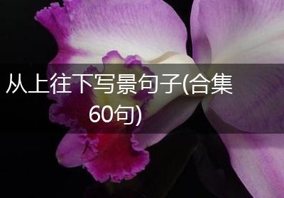 从上往下写景句子(合集60句)