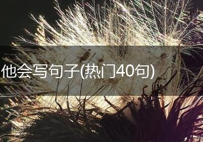 他会写句子(热门40句)