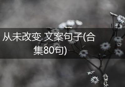从未改变 文案句子(合集80句)