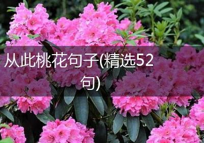 从此桃花句子(精选52句)