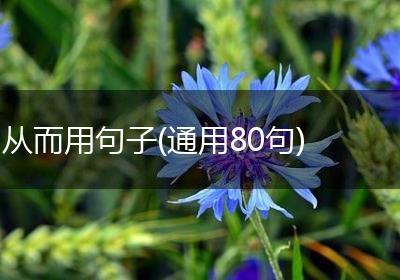 从而用句子(通用80句)