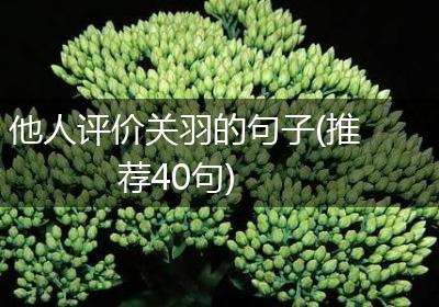 他人评价关羽的句子(推荐40句)