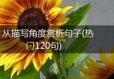 从描写角度赏析句子(热门120句)