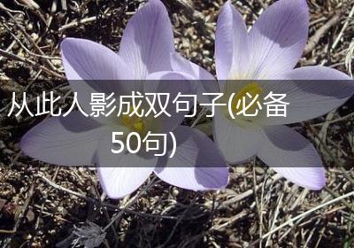 从此人影成双句子(必备50句)