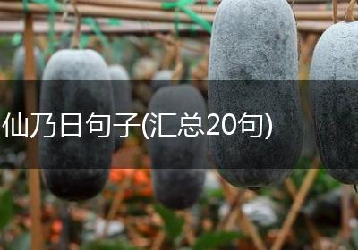 仙乃日句子(汇总20句)