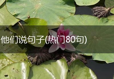 他们说句子(热门80句)