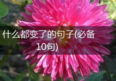 什么都变了的句子(必备10句)