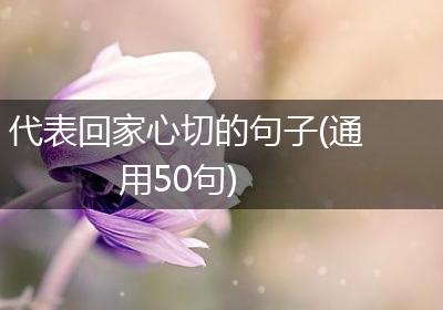 代表回家心切的句子(通用50句)