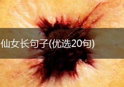 仙女长句子(优选20句)
