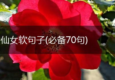 仙女软句子(必备70句)