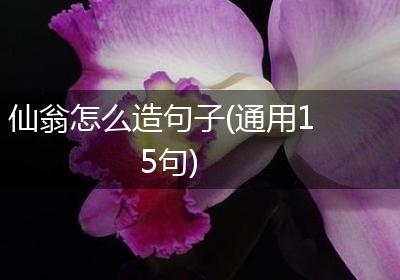 仙翁怎么造句子(通用15句)