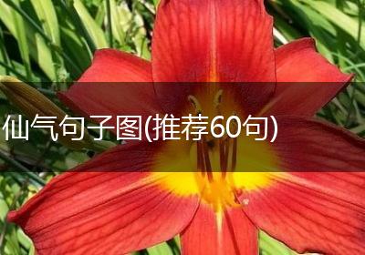 仙气句子图(推荐60句)