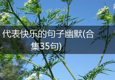 代表快乐的句子幽默(合集35句)