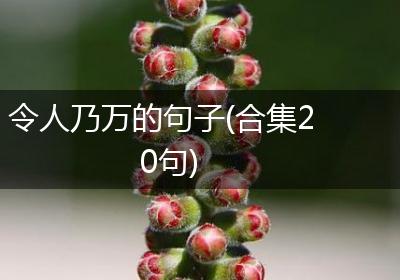 令人乃万的句子(合集20句)