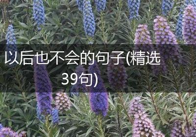 以后也不会的句子(精选39句)
