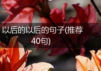 以后的以后的句子(推荐40句)