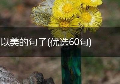 以美的句子(优选60句)