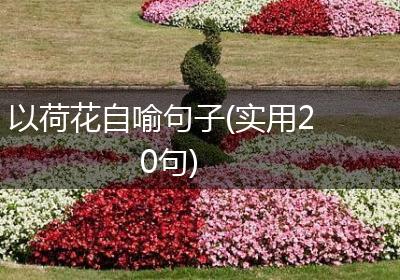以荷花自喻句子(实用20句)