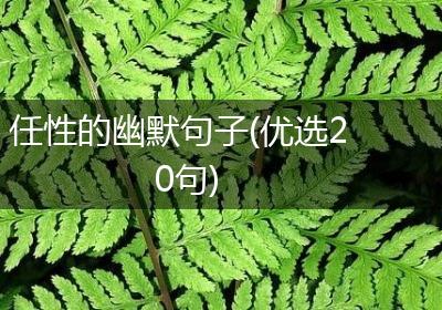 任性的幽默句子(优选20句)