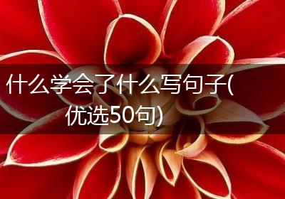 什么学会了什么写句子(优选50句)