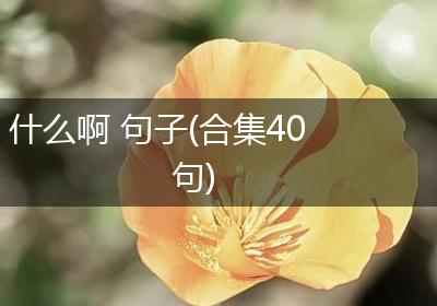 什么啊 句子(合集40句)