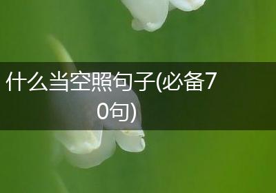 什么当空照句子(必备70句)