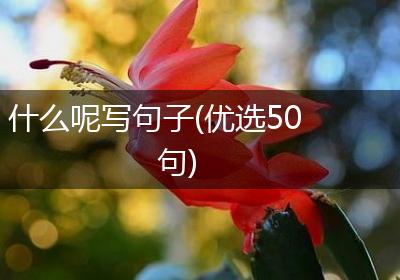 什么呢写句子(优选50句)