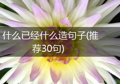 什么已经什么造句子(推荐30句)