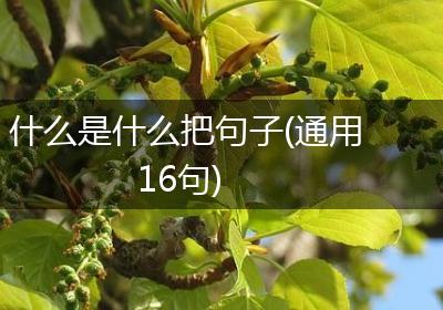 什么是什么把句子(通用16句)