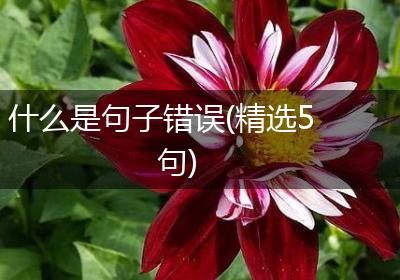 什么是句子错误(精选5句)