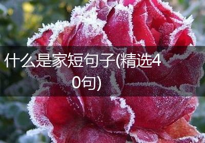 什么是家短句子(精选40句)