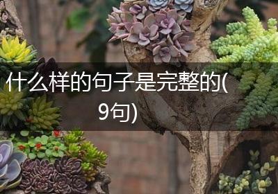 什么样的句子是完整的(9句)