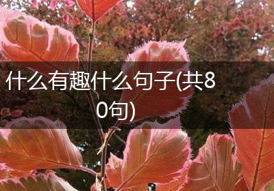 什么有趣什么句子(共80句)