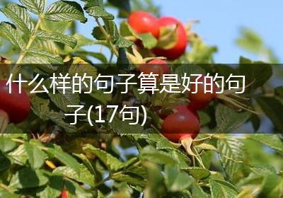 什么样的句子算是好的句子(17句)