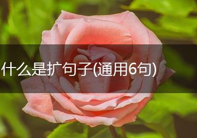 什么是扩句子(通用6句)
