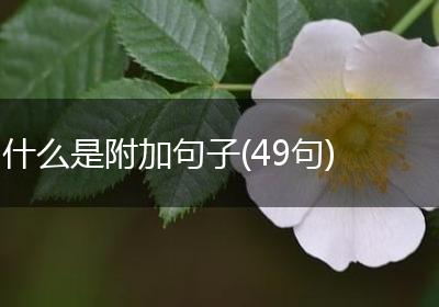 什么是附加句子(49句)
