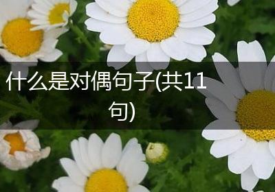 什么是对偶句子(共11句)