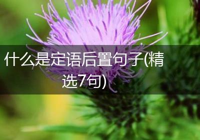 什么是定语后置句子(精选7句)