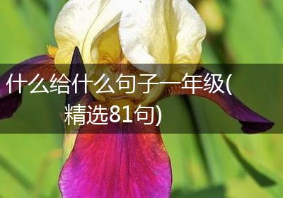 什么给什么句子一年级(精选81句)
