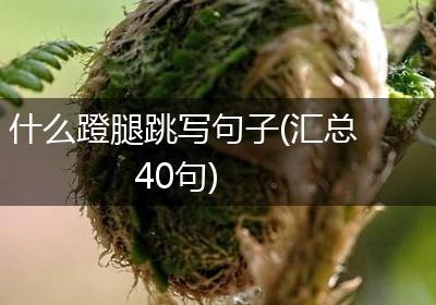 什么蹬腿跳写句子(汇总40句)